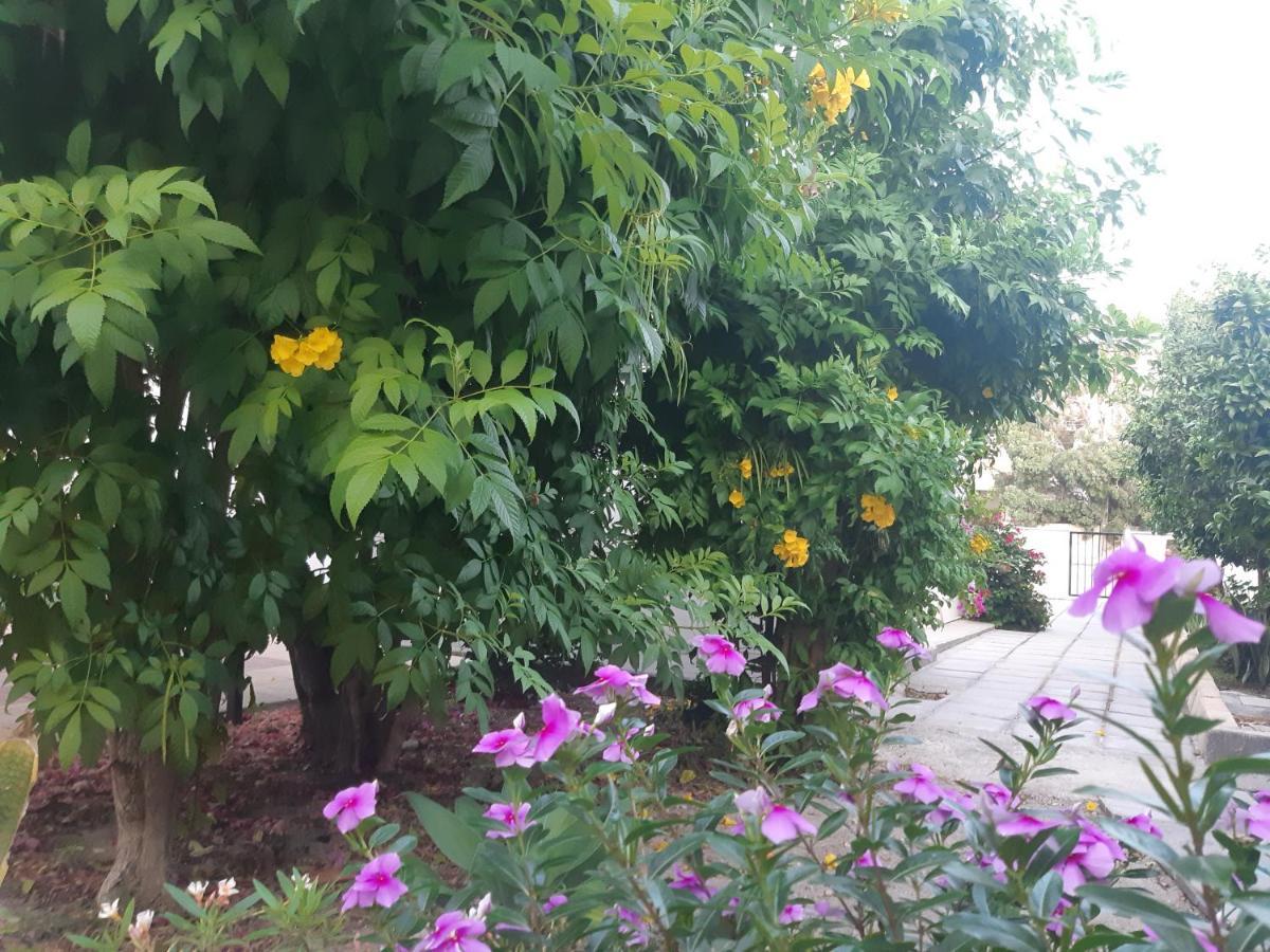 House Near The Beach Περβόλια Εξωτερικό φωτογραφία